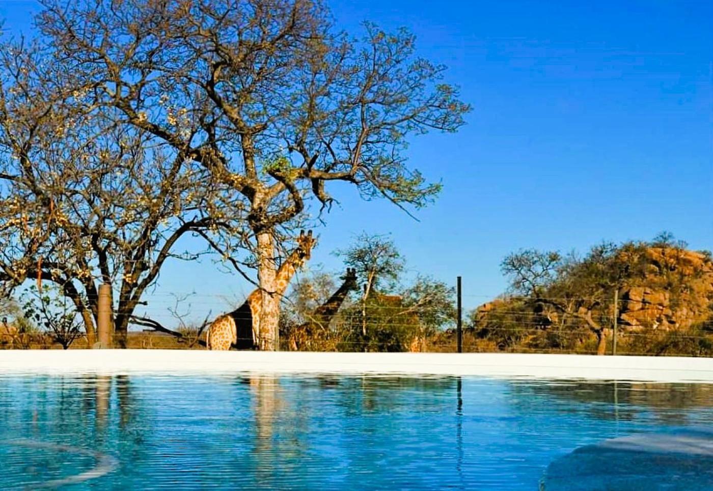 Ngalali Retreat Hotel Grietjie Game Reserve Exterior photo