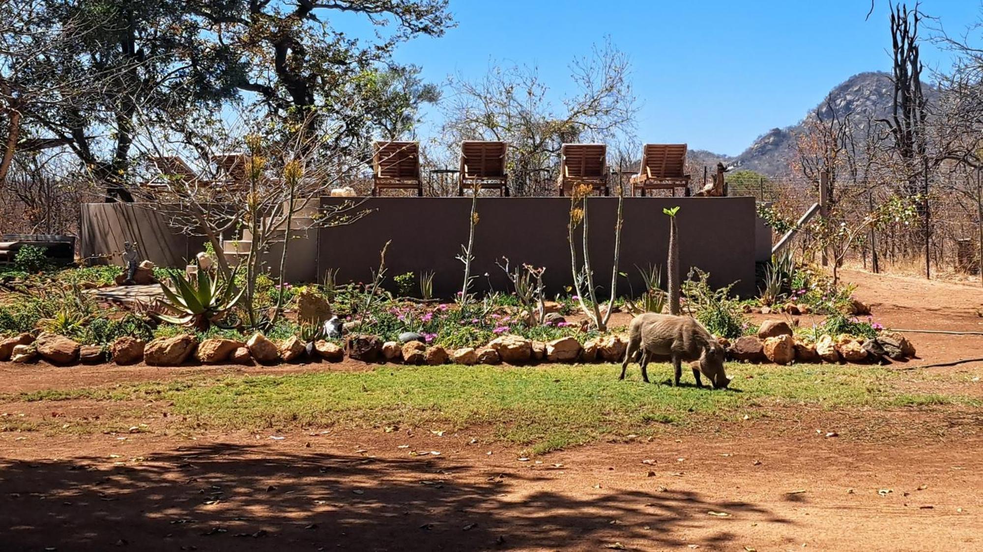 Ngalali Retreat Hotel Grietjie Game Reserve Exterior photo